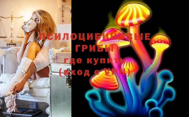 продажа наркотиков  Далматово  ОМГ ОМГ сайт  Галлюциногенные грибы MAGIC MUSHROOMS 